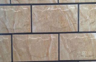 墻壁瓷磚有哪些種類(lèi) 墻壁瓷磚價(jià)格舉例